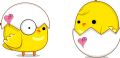 情侣小鸡 情侣小鸡